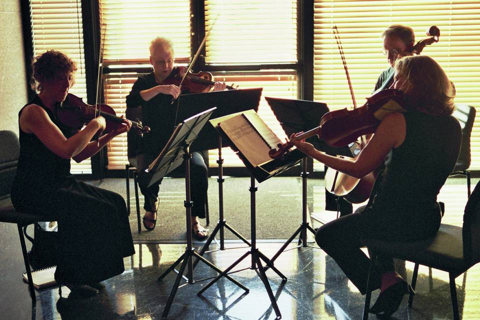 Lake String Quartet