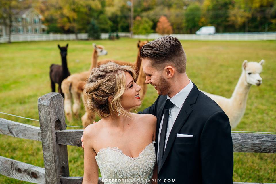 Newlyweds by the alpacas