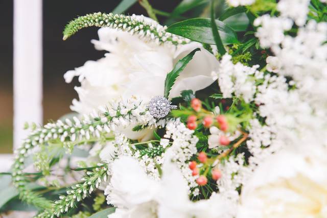 Liz Daino Photography