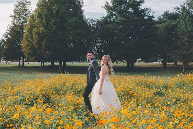 Liz Daino Photography