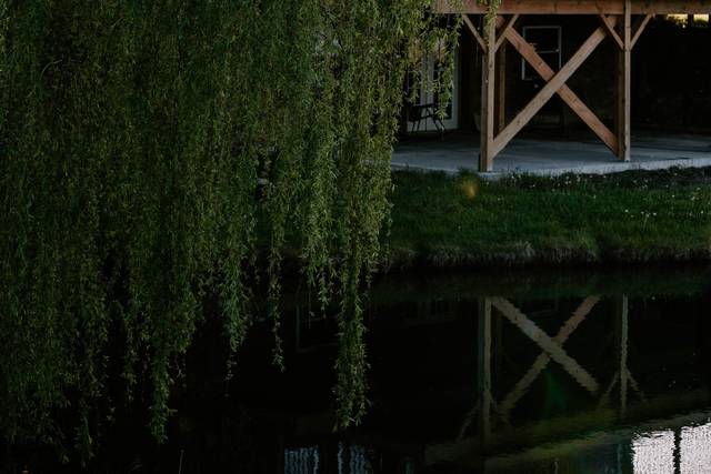 Willow