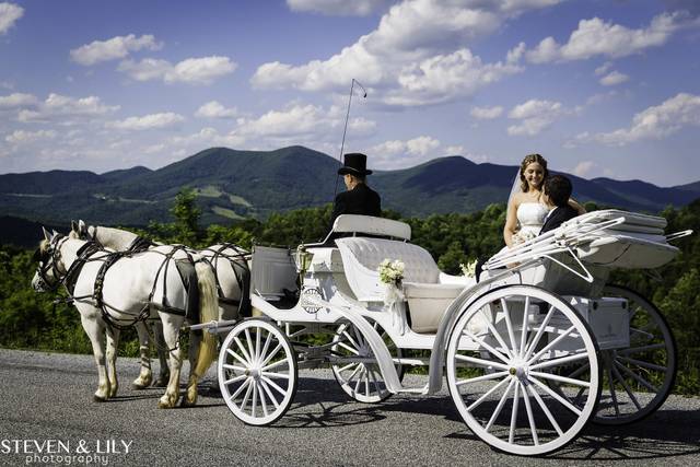 Lexington Carriage Company