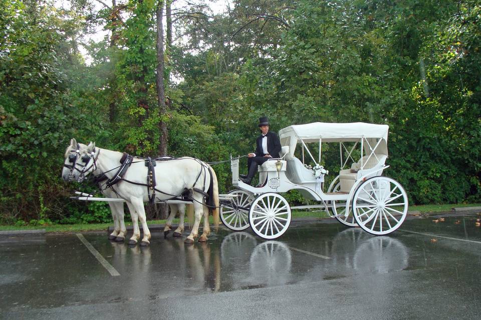 Lexington Carriage Company