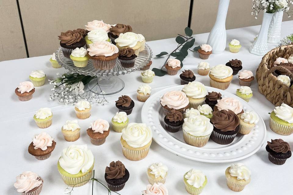 Standard and mini cupcakes