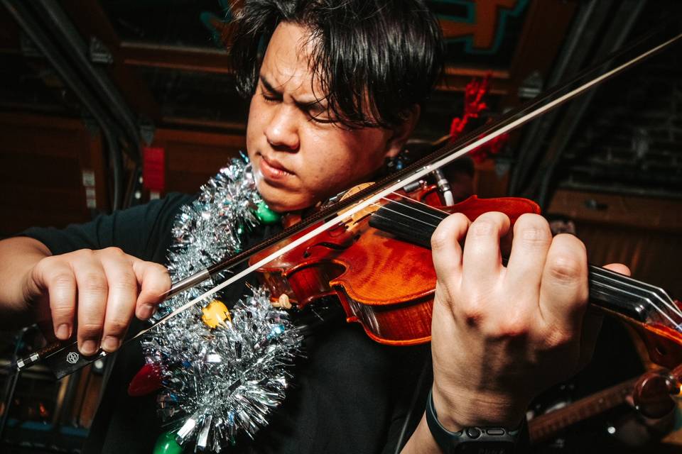 Professional violinst