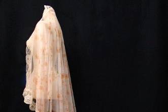 Pale Peach Mantilla veil