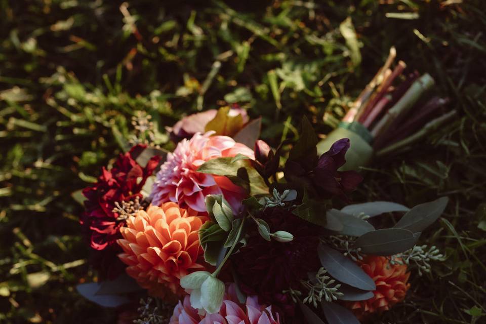 Casey Guild Photography