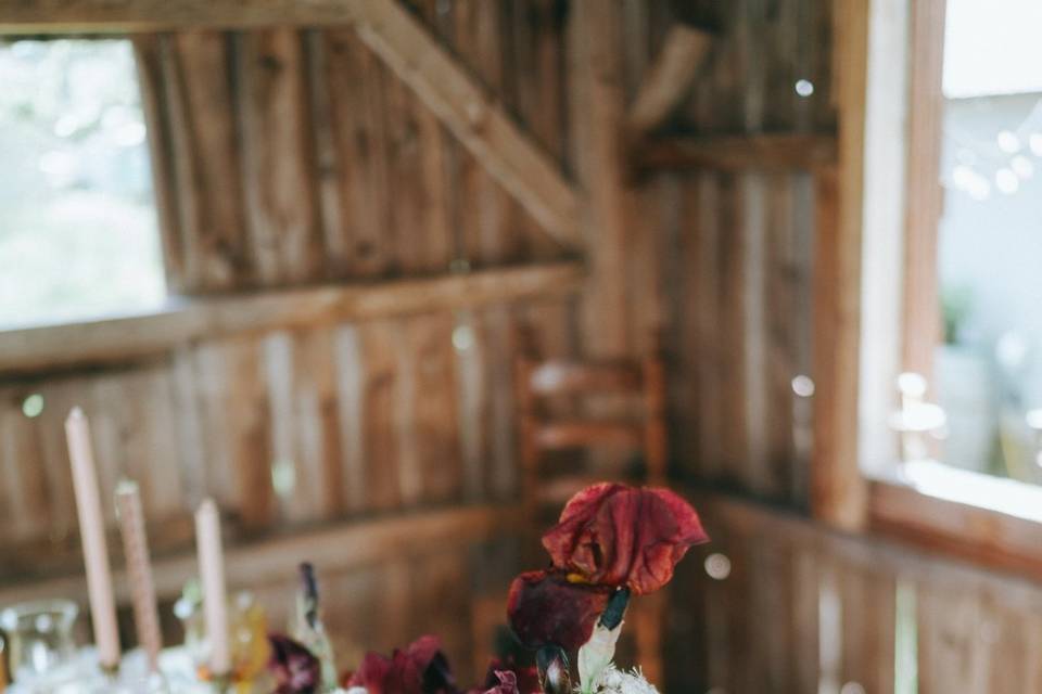 Casey Guild Photography