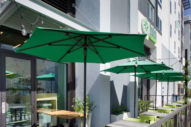Green umbrellas