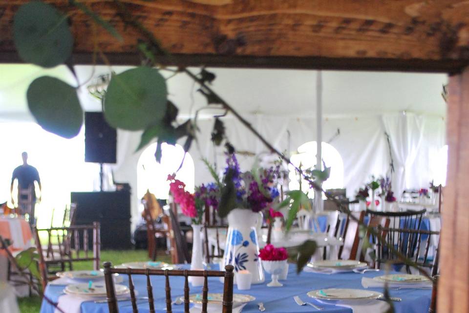Eastern Shore Events and Rentals