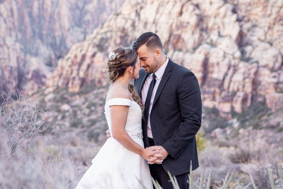 Las Vegas Elopement