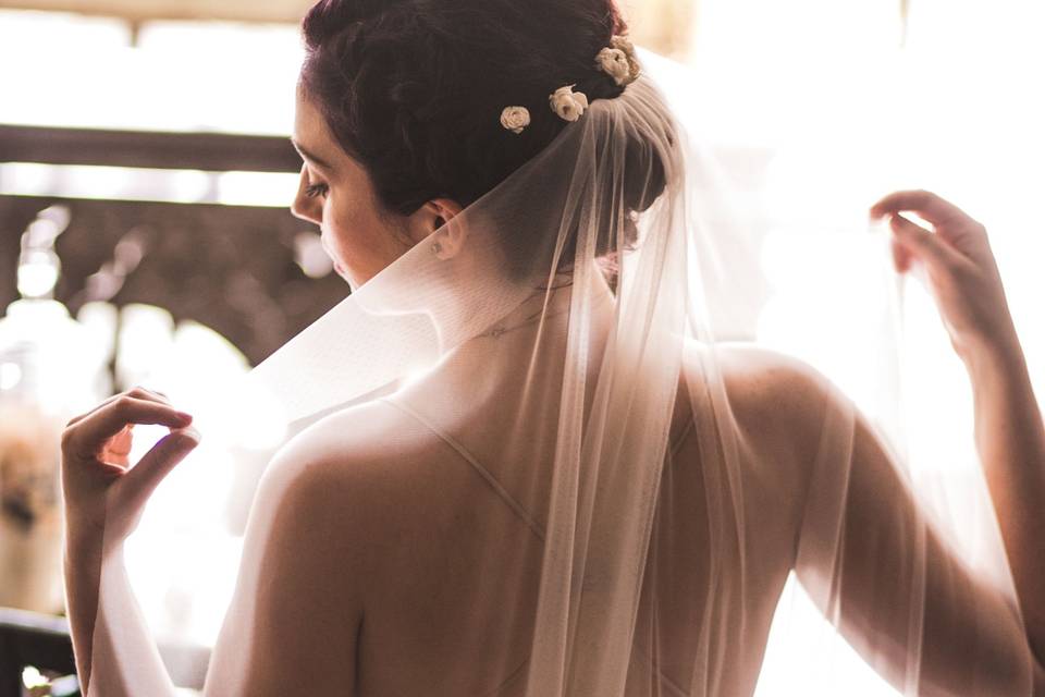 Lisa's Bridal Photos