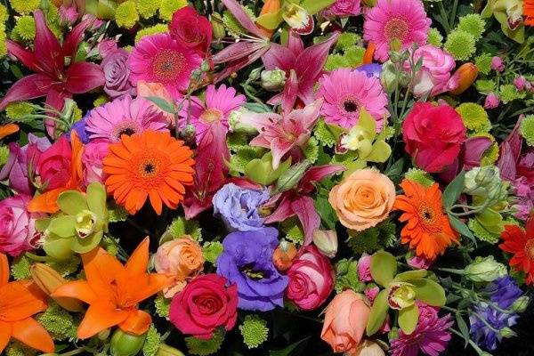 Flowers