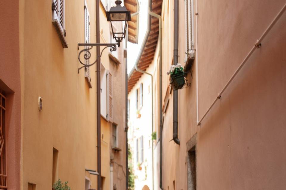 Wedding: Couples Portraits