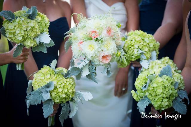 Beautiful flowers