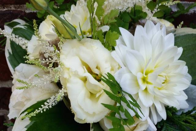 White blooms