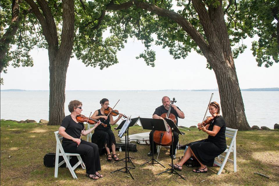 Playing for the guest