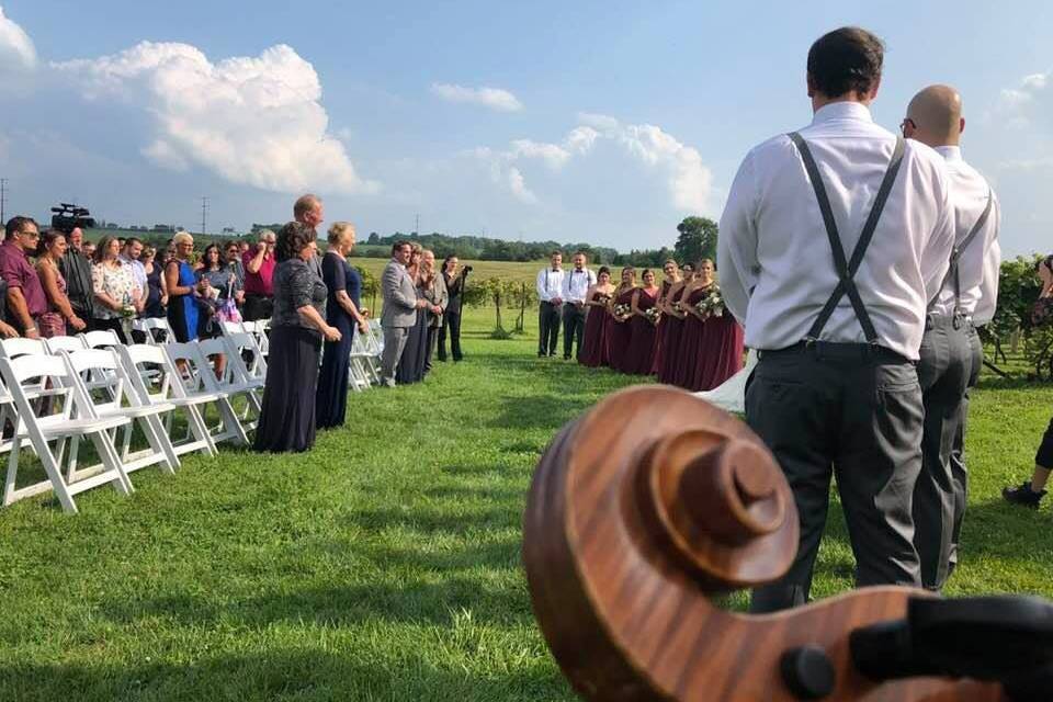 Camerata String Quartet