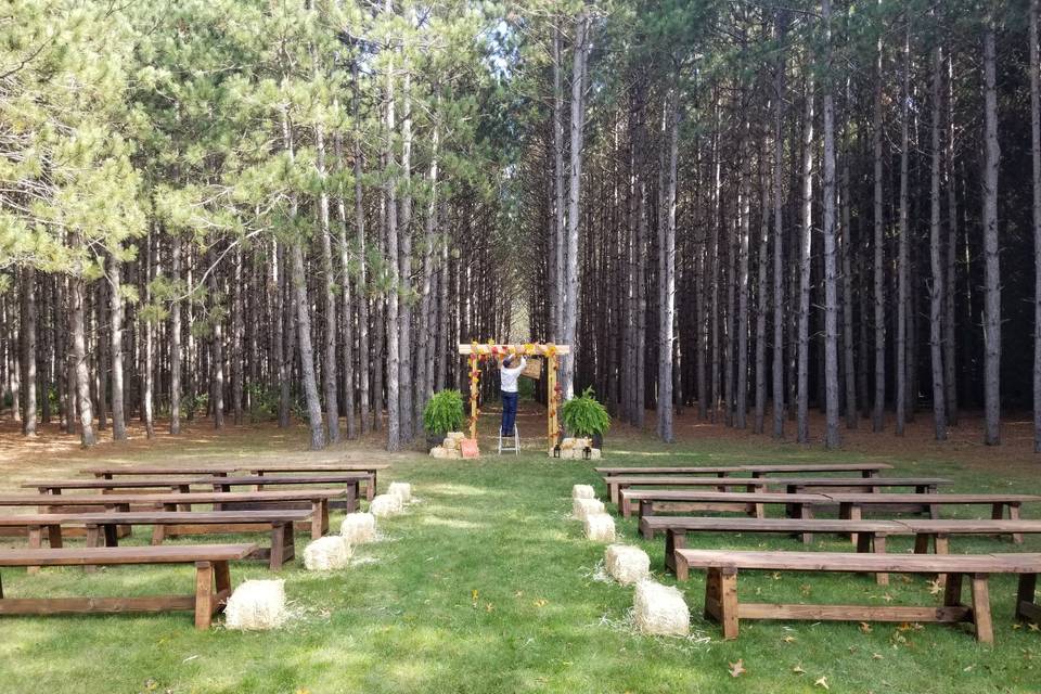 Wedding in the Woods