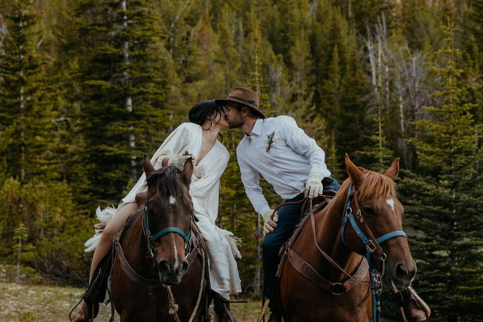 Horse Elopement