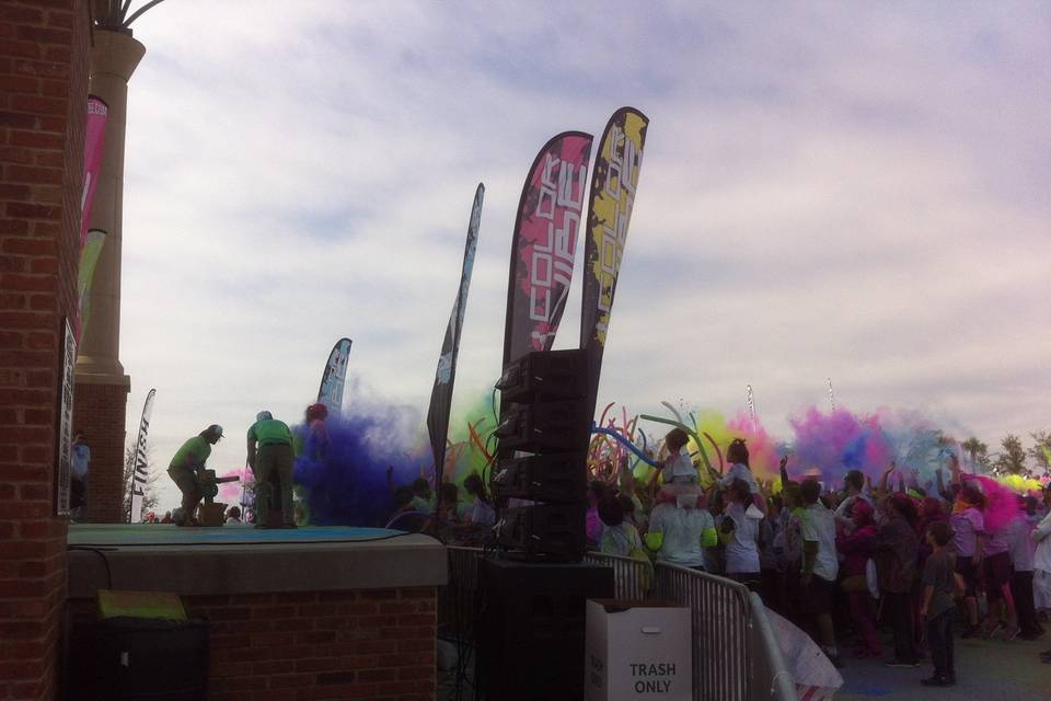 Pensacola Color Vibe 2015