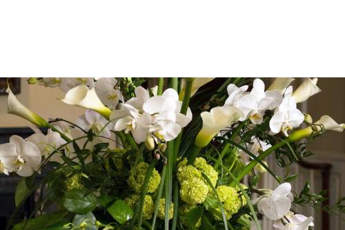 Calla lily orchid arrangement