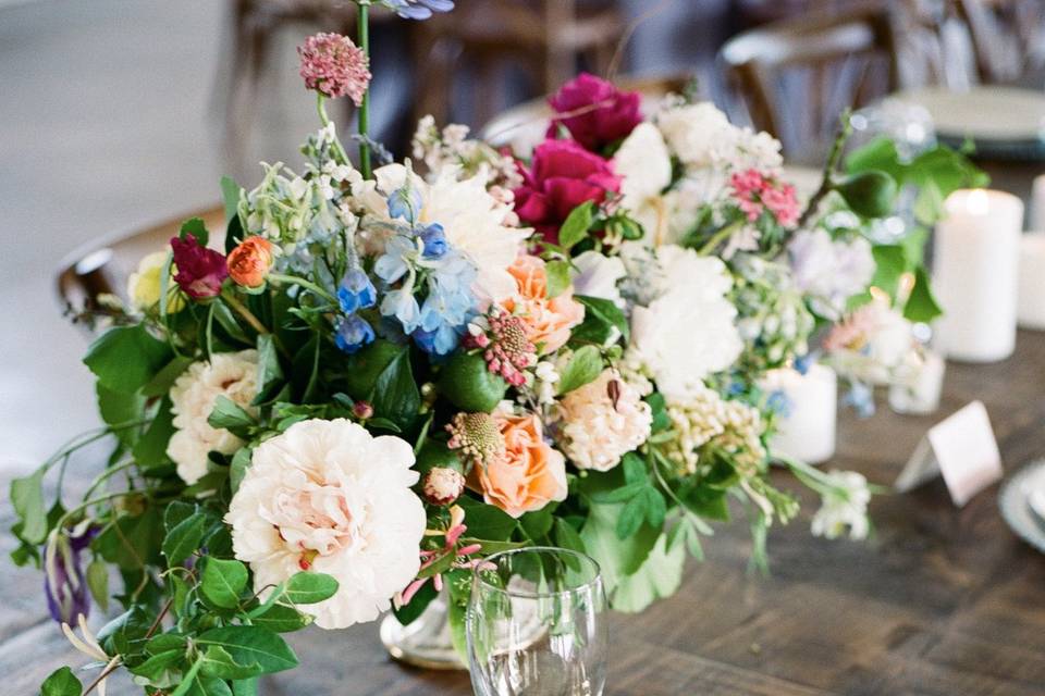 Davy Whitener Photography