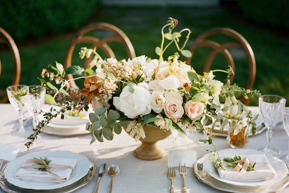 Davy Whitener Photography