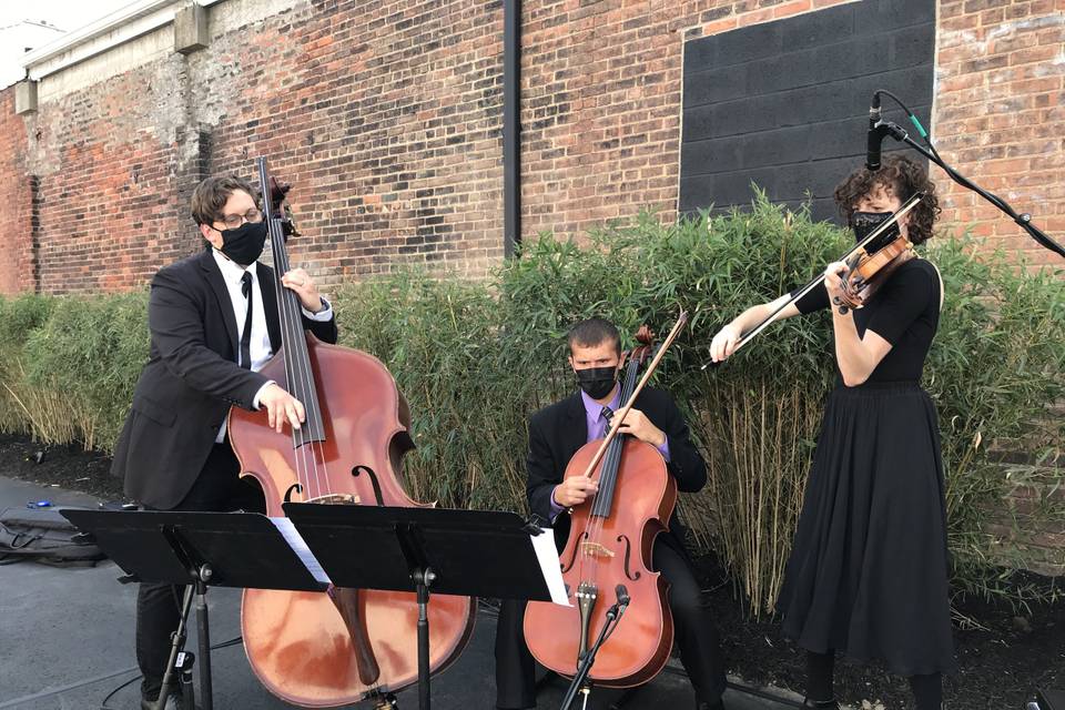 Ceremony String Trio