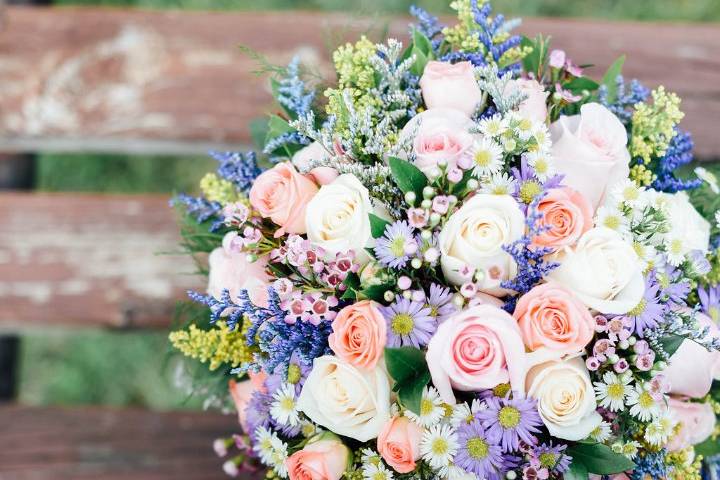Pretty roses
