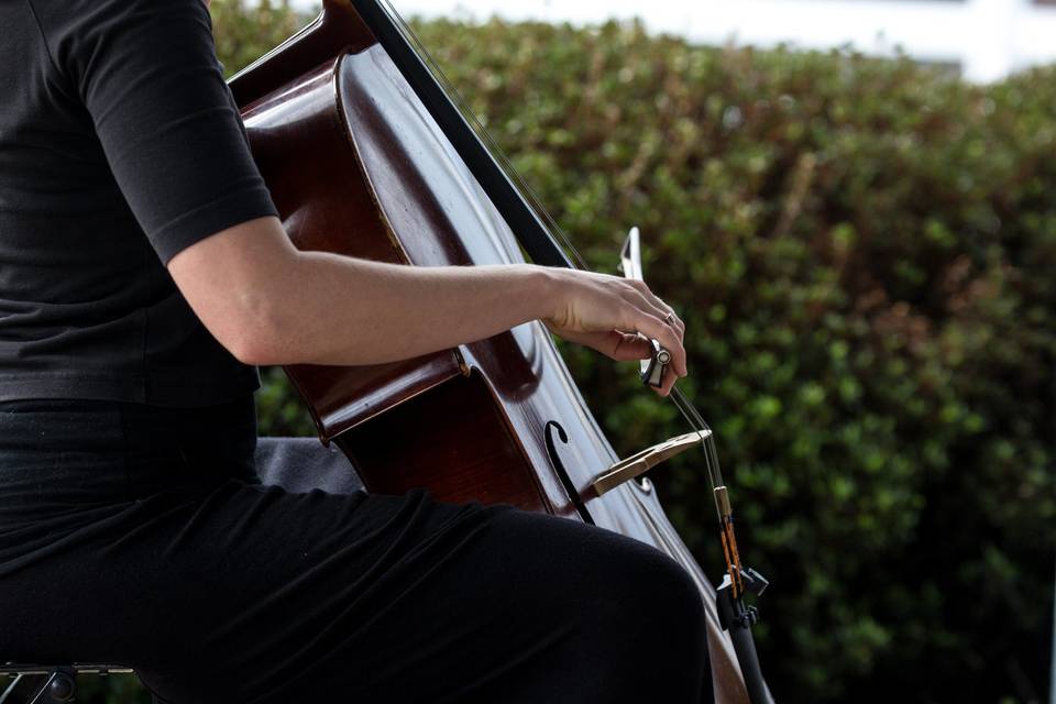 Victoria Olmer Cellist