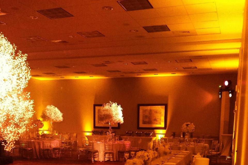 Wedding reception venue