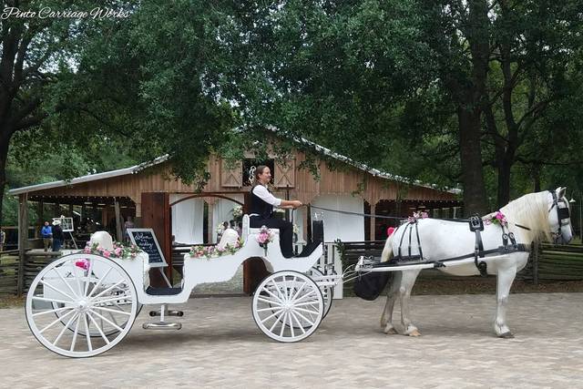 Carriage in the courtyard