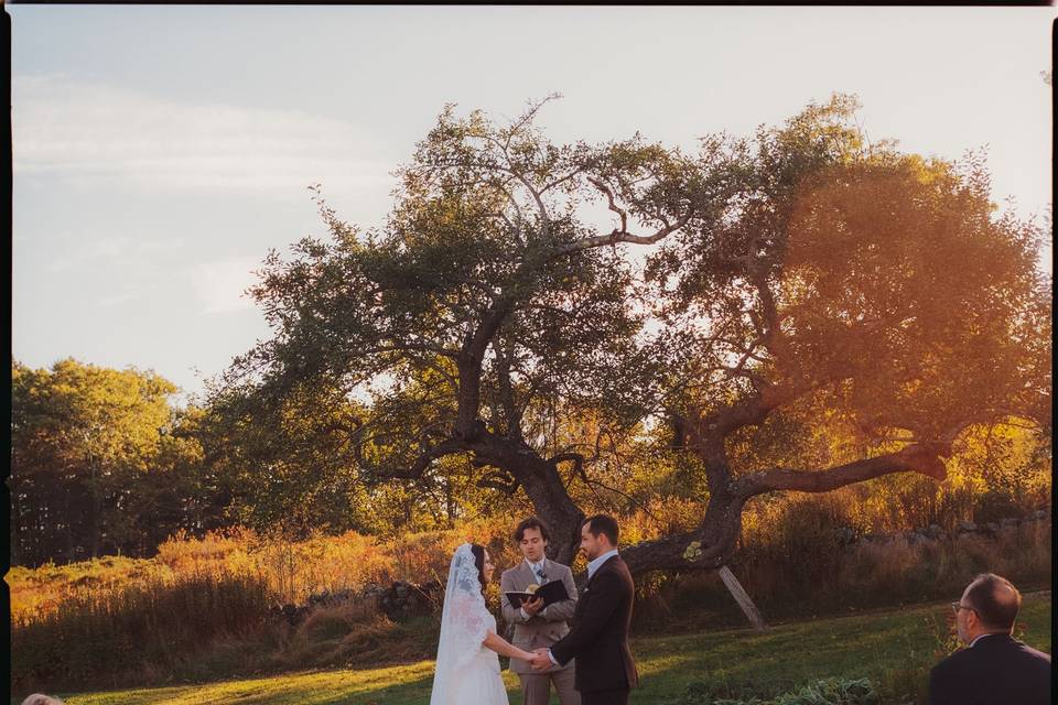 Tops'l Farm Wedding Day
