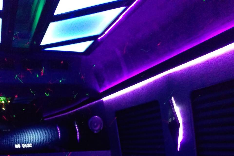 Purple lights