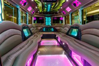 Exquisite Limousine