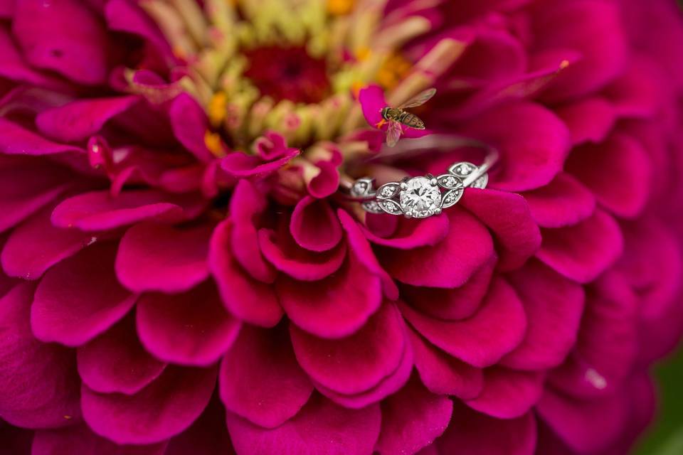 Valerie michelle photography. Baltimore maryland wedding photographer. Engagement ring photo from engagement session at larriland farms in woodbine maryland. Diamond photo on a flower.