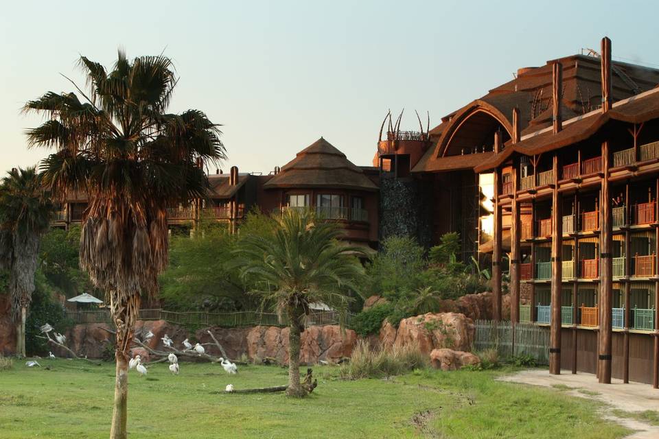 Disney's Animal Kingdom Lodge