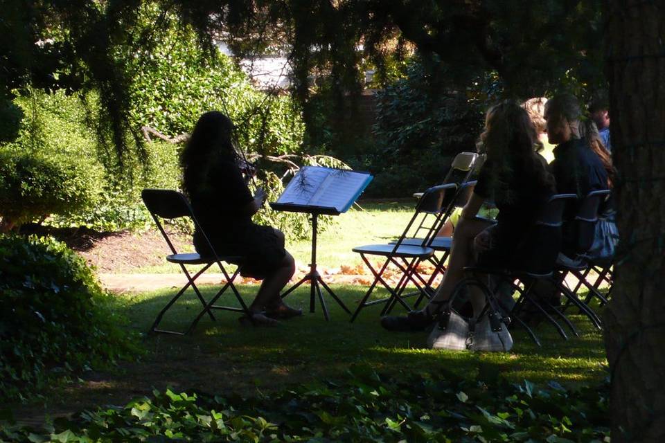 Seated beneath a tree