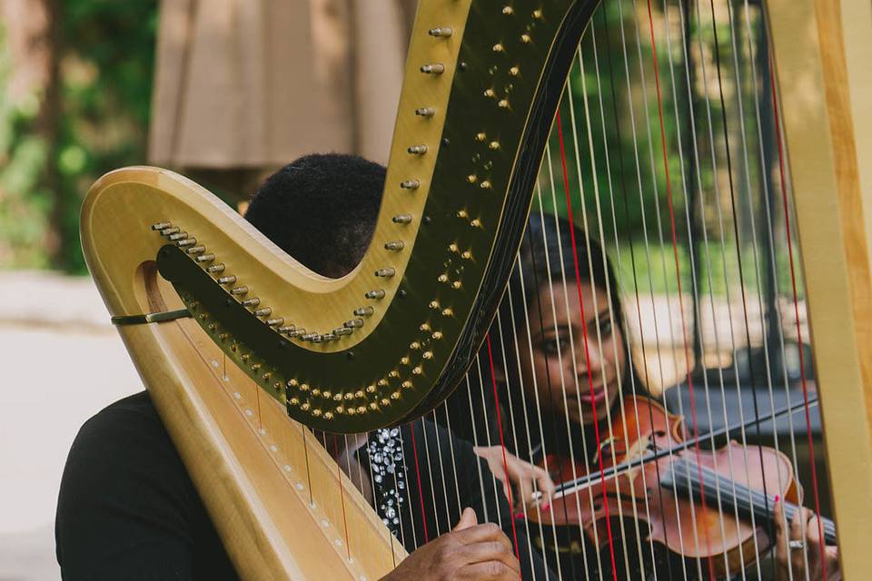 Harpist and Udeshi