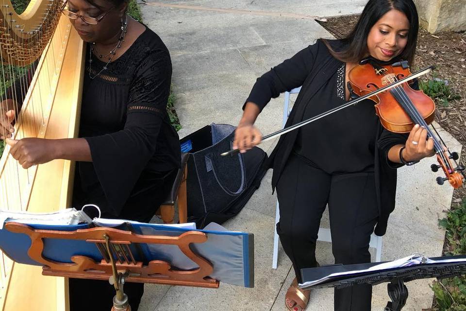 Violin Harp duet