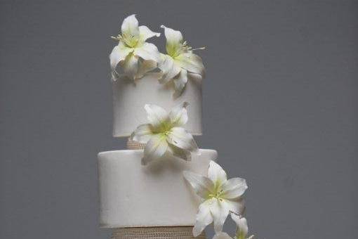 Ana Parzych Custom CakesRound tiers adorned with fondant pearl rows and cascading sugar lilies.