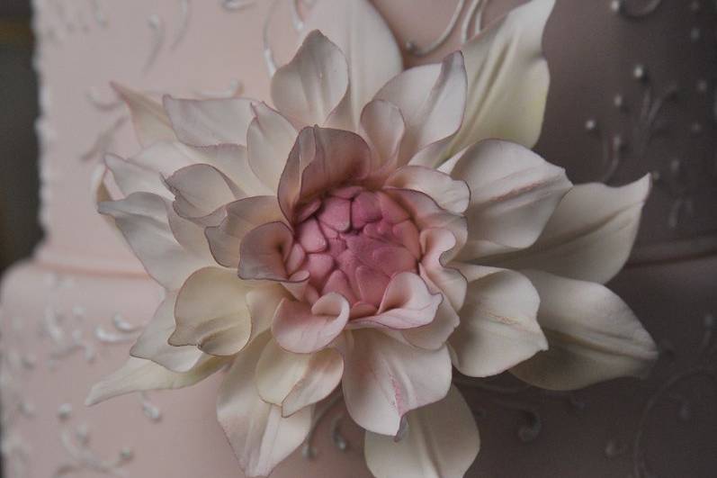 Ana Parzych Custom CakePink fondant tiers embellished with delicate piped scrolls and adorned with a single hand-crafted sugar dahlia.
