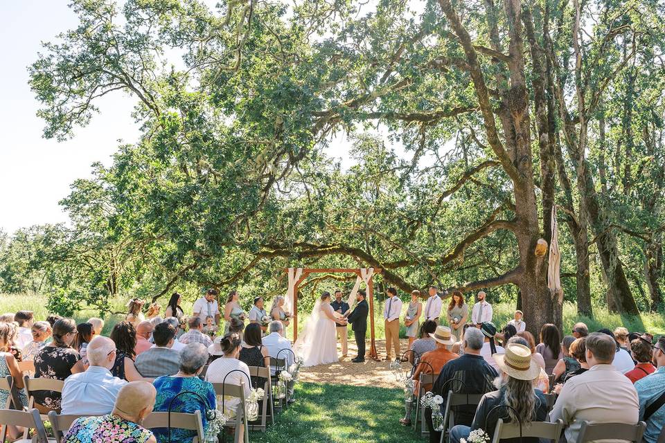 Photo by Among the Oaks