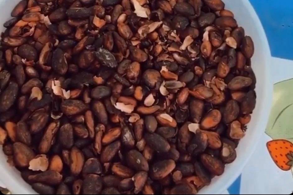 Cacao nibs