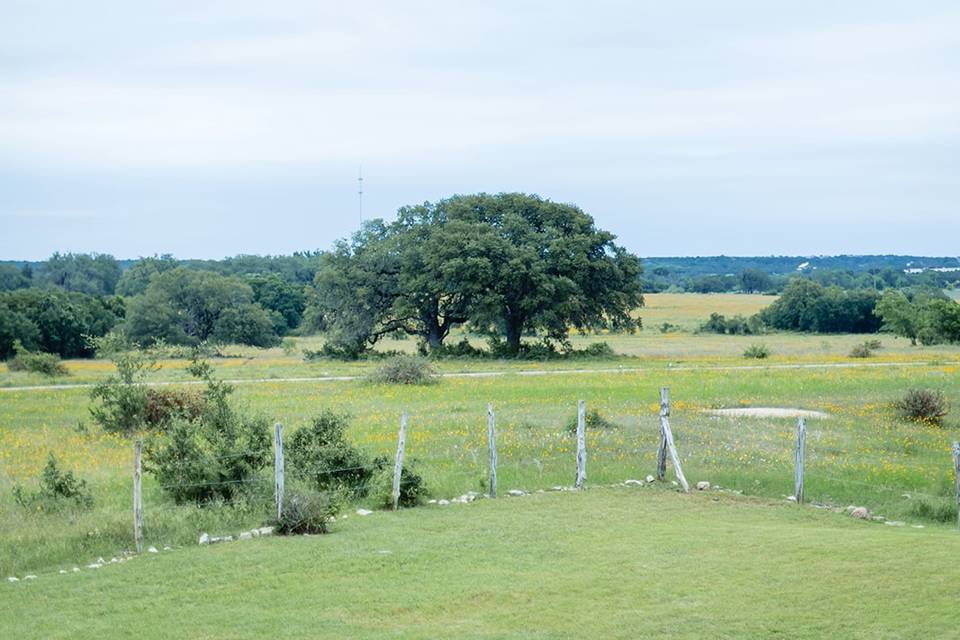 Hill Country Views