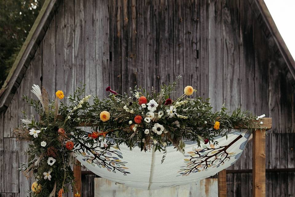 Mackenzie Scurlock Photography