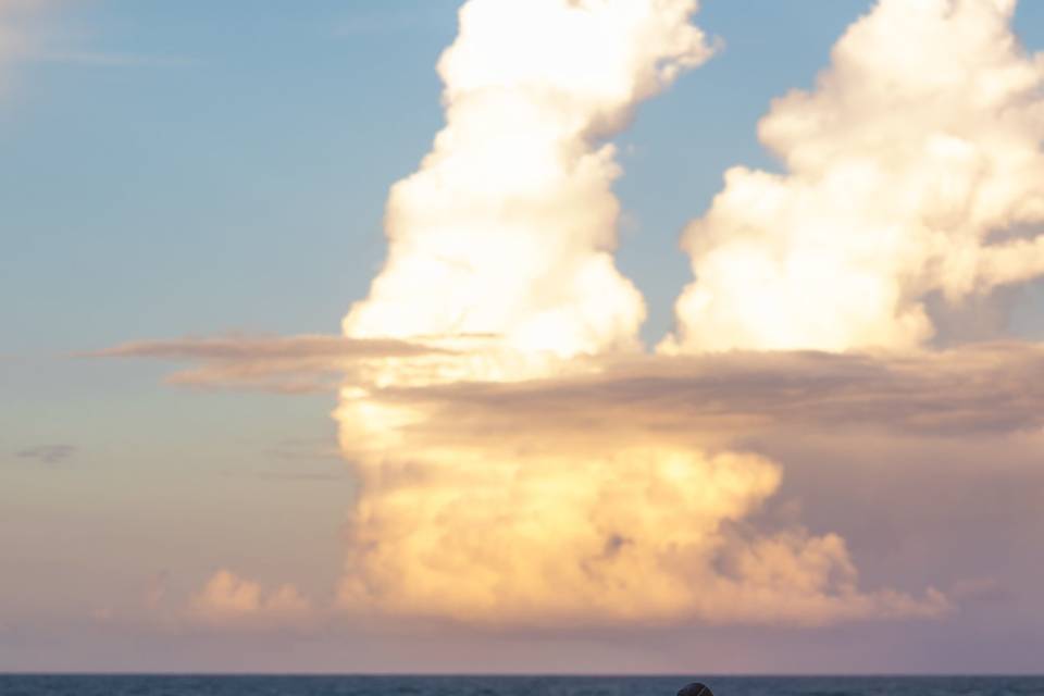 Francis Alvarez Photography