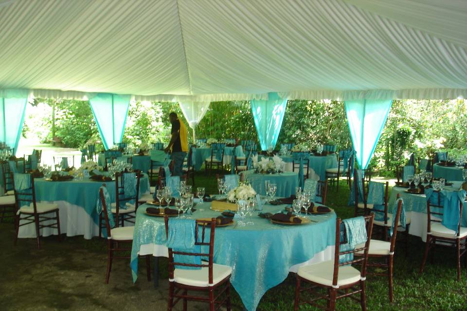 Wedding Reception on the Thunbergia Lawn