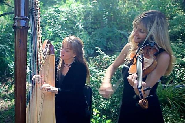 Jennifer Argenti - Violinist and More!